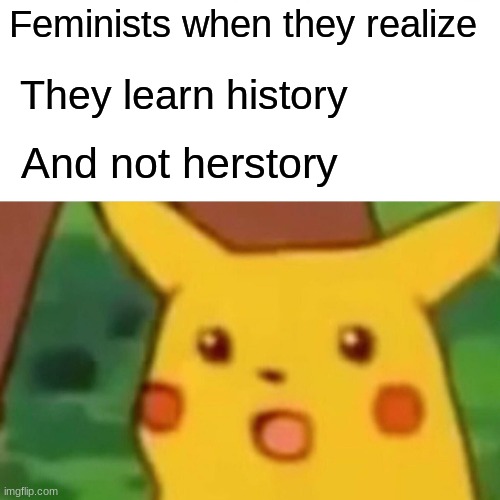 herstory | Feminists when they realize; They learn history; And not herstory | image tagged in memes,surprised pikachu,bruh | made w/ Imgflip meme maker