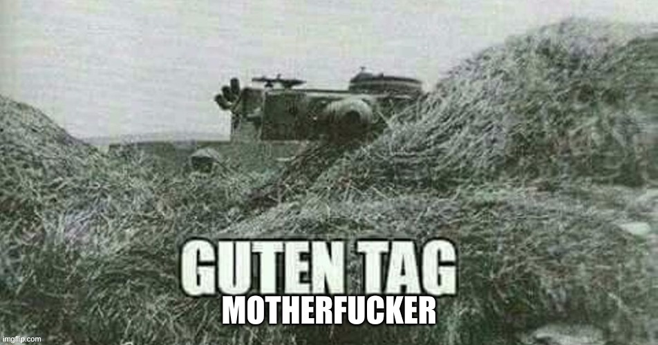 Guten Tag motherfucker Tiger I | image tagged in guten tag motherfucker tiger i | made w/ Imgflip meme maker