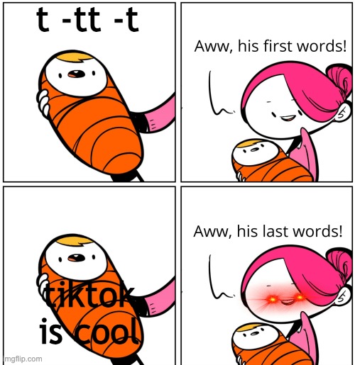 Aww, His Last Words | t -tt -t; tiktok is cool | image tagged in aww his last words | made w/ Imgflip meme maker