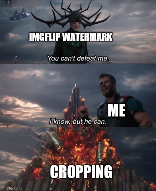 You can't defeat me | IMGFLIP WATERMARK; ME; CROPPING | image tagged in you can't defeat me | made w/ Imgflip meme maker