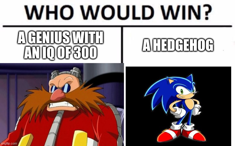 Is this even a question? | A GENIUS WITH AN IQ OF 300; A HEDGEHOG | image tagged in sonic the hedgehog,eggman,pingas | made w/ Imgflip meme maker