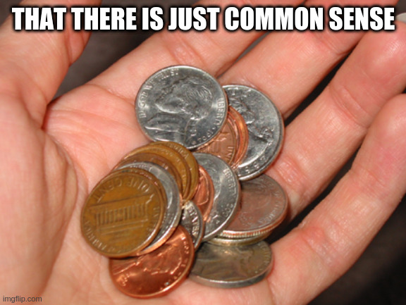 common cents | THAT THERE IS JUST COMMON SENSE | image tagged in common cents | made w/ Imgflip meme maker