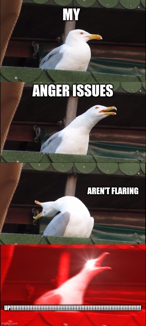 Inhaling Seagull | MY; ANGER ISSUES; AREN'T FLARING; UP!!!!!!!!!!!!!!!!!!!!!!!!!!!!!!!!!!!!!!!!!!!!!!!!!!!!!!!!!!!!!!!!!!!!!!!!!!!!!!!!!!! | image tagged in memes,inhaling seagull | made w/ Imgflip meme maker