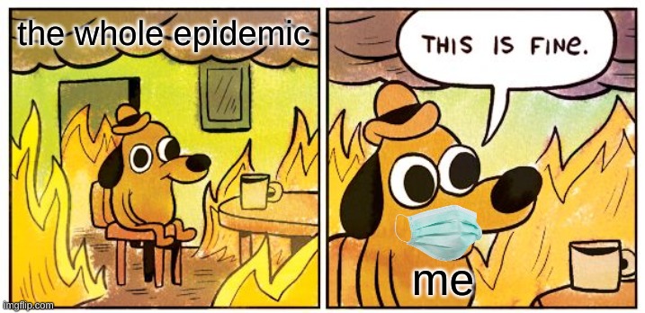 This Is Fine |  the whole epidemic; me | image tagged in memes,this is fine | made w/ Imgflip meme maker