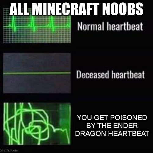 Can anyone relate? | ALL MINECRAFT NOOBS; YOU GET POISONED BY THE ENDER DRAGON HEARTBEAT | image tagged in heartbeat rate | made w/ Imgflip meme maker