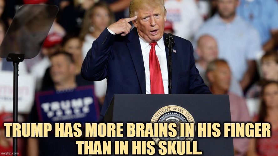 Where the brains ought to be, but aren't. | TRUMP HAS MORE BRAINS IN HIS FINGER 
THAN IN HIS SKULL. | image tagged in trump has more brains in his finger than in his head,trump,idiot,brains,missing | made w/ Imgflip meme maker