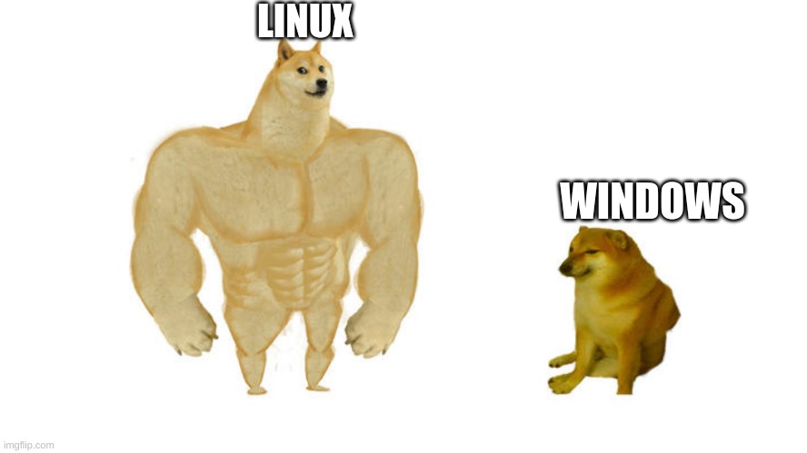 This is true | LINUX; WINDOWS | image tagged in big dog little dog,linux,windows 10 | made w/ Imgflip meme maker