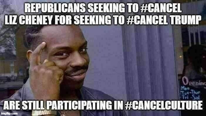 What's the matter? Can't Republicans handle a difference in opinion? | image tagged in cancel culture,cancelled,roll safe think about it,conservative hypocrisy,conservative logic,republicans | made w/ Imgflip meme maker