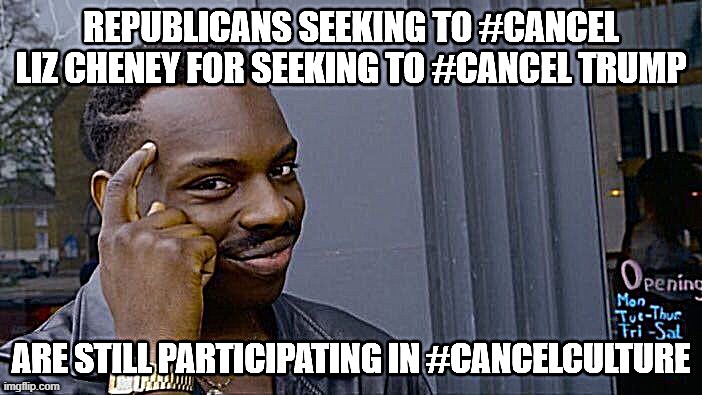 What's the matter? Can't Republicans handle a difference in opinion? | image tagged in republicans,republican party,trump to gop,gop,roll safe think about it,cancel culture | made w/ Imgflip meme maker