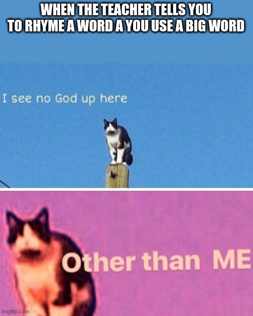 Hail pole cat | WHEN THE TEACHER TELLS YOU TO RHYME A WORD A YOU USE A BIG WORD | image tagged in hail pole cat | made w/ Imgflip meme maker