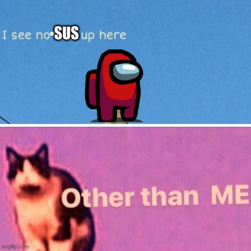 Hail pole cat | SUS | image tagged in hail pole cat,among us | made w/ Imgflip meme maker