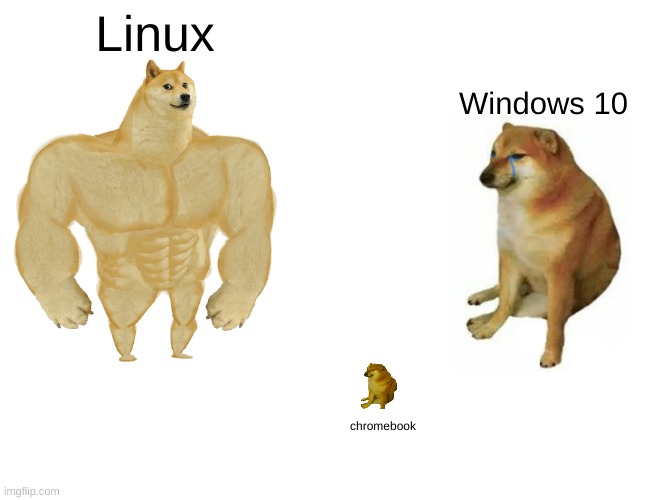 sequel to Linux vs. Windows | Linux; Windows 10; chromebook | image tagged in memes,buff doge vs cheems,linux,windows 10,chromebook | made w/ Imgflip meme maker