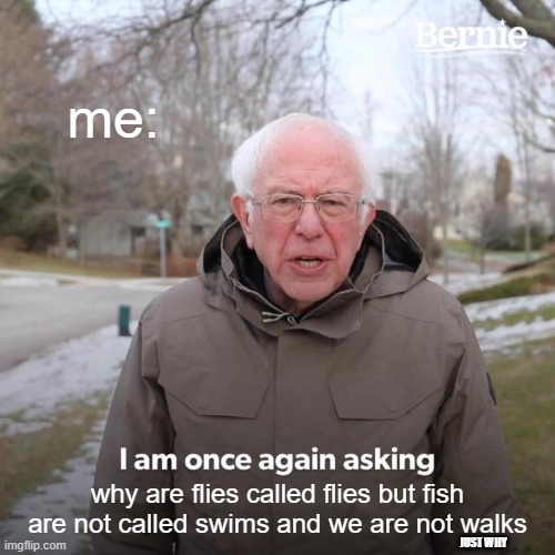 Bernie I Am Once Again Asking For Your Support Meme | me:; why are flies called flies but fish are not called swims and we are not walks; JUST WHY | image tagged in memes,bernie i am once again asking for your support | made w/ Imgflip meme maker