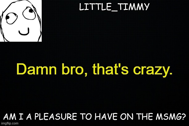 Little_timmy's announcement template | LITTLE_TIMMY; AM I A PLEASURE TO HAVE ON THE MSMG? | image tagged in little_timmy's announcement template | made w/ Imgflip meme maker