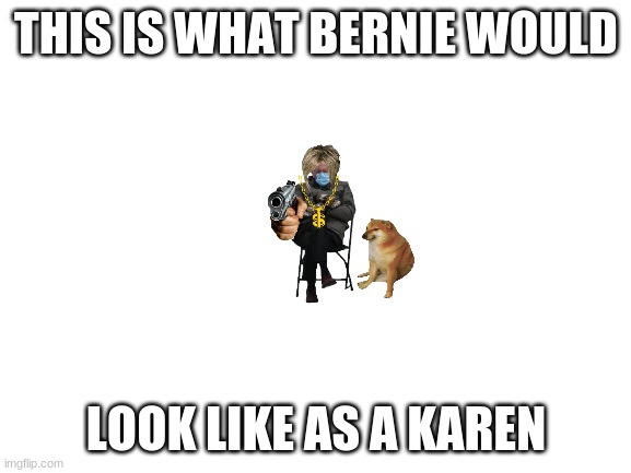 Blank White Template | THIS IS WHAT BERNIE WOULD; LOOK LIKE AS A KAREN | image tagged in blank white template | made w/ Imgflip meme maker