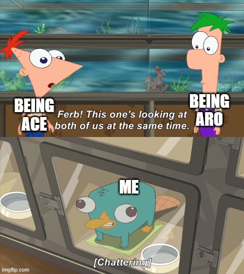 Me |  BEING ACE; BEING ARO; ME | image tagged in phineas and ferb,ace,aroace | made w/ Imgflip meme maker