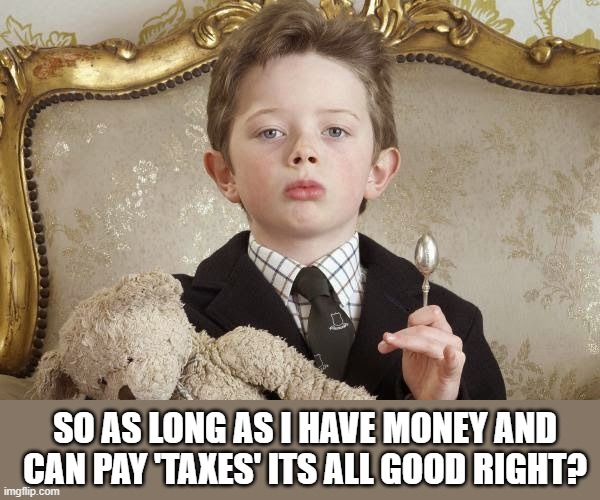 rich kid | SO AS LONG AS I HAVE MONEY AND CAN PAY 'TAXES' ITS ALL GOOD RIGHT? | image tagged in rich kid | made w/ Imgflip meme maker