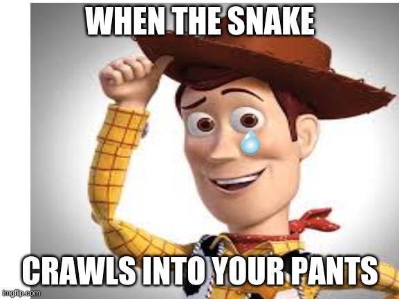 when the snake crawls into your pants | WHEN THE SNAKE; CRAWLS INTO YOUR PANTS | image tagged in woody,toy story | made w/ Imgflip meme maker