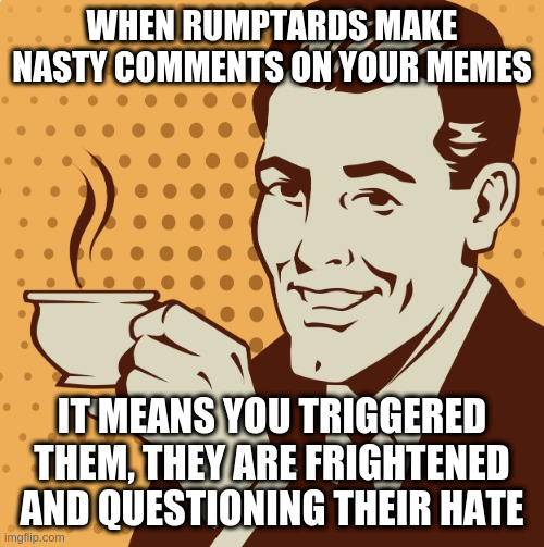 to all my friends in politics_TOO - don't give up! | WHEN RUMPTARDS MAKE NASTY COMMENTS ON YOUR MEMES; IT MEANS YOU TRIGGERED THEM, THEY ARE FRIGHTENED AND QUESTIONING THEIR HATE | image tagged in mug approval,rumpt | made w/ Imgflip meme maker