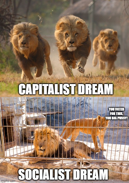 What you get when you trade freedom for the welfare state. | CAPITALIST DREAM; YOU VOTED FOR THIS, YOU BIG PUSSY! SOCIALIST DREAM | image tagged in libtards,liberals retarding progress,stupid liberals,liberal vs conservative | made w/ Imgflip meme maker