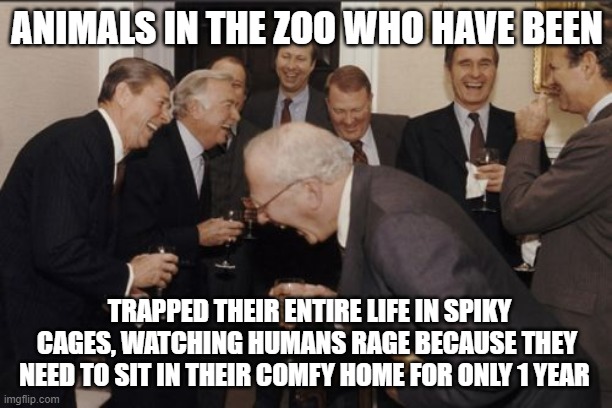 Laughing Men In Suits | ANIMALS IN THE ZOO WHO HAVE BEEN; TRAPPED THEIR ENTIRE LIFE IN SPIKY CAGES, WATCHING HUMANS RAGE BECAUSE THEY NEED TO SIT IN THEIR COMFY HOME FOR ONLY 1 YEAR | image tagged in memes,laughing men in suits | made w/ Imgflip meme maker