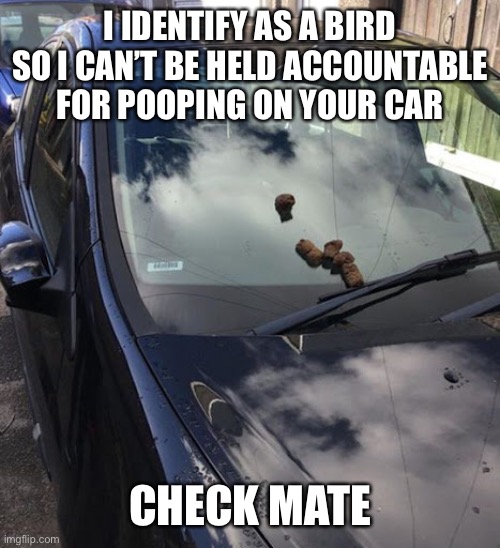 Finding purpose in these trying times | I IDENTIFY AS A BIRD SO I CAN’T BE HELD ACCOUNTABLE FOR POOPING ON YOUR CAR; CHECK MATE | image tagged in angry bird | made w/ Imgflip meme maker