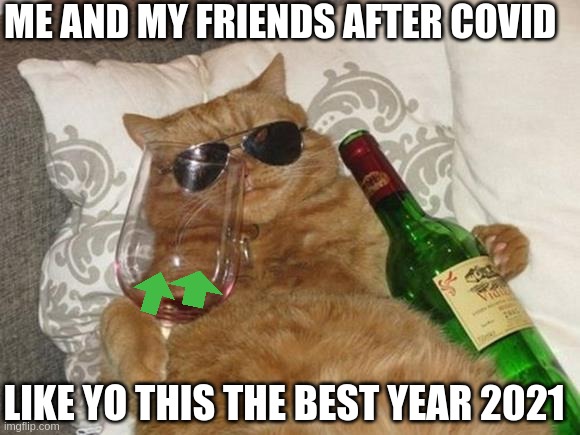 Funny Cat Birthday | ME AND MY FRIENDS AFTER COVID; LIKE YO THIS THE BEST YEAR 2021 | image tagged in funny cat birthday | made w/ Imgflip meme maker