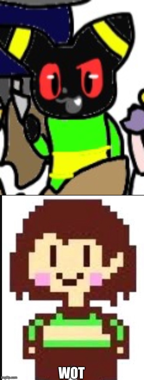 WOT | image tagged in chara undertale | made w/ Imgflip meme maker