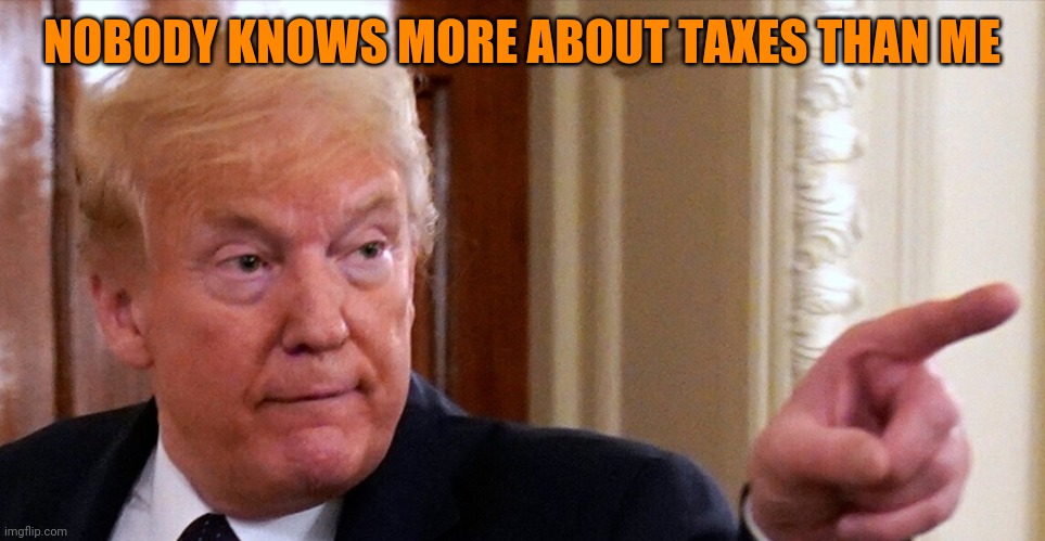 Trump pointing | NOBODY KNOWS MORE ABOUT TAXES THAN ME | image tagged in trump pointing | made w/ Imgflip meme maker