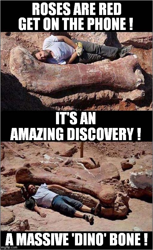 Roses Are Red For Archaeologists ! | ROSES ARE RED; GET ON THE PHONE ! IT'S AN AMAZING DISCOVERY ! A MASSIVE 'DINO' BONE ! | image tagged in roses are red,dinosaur,discovery | made w/ Imgflip meme maker