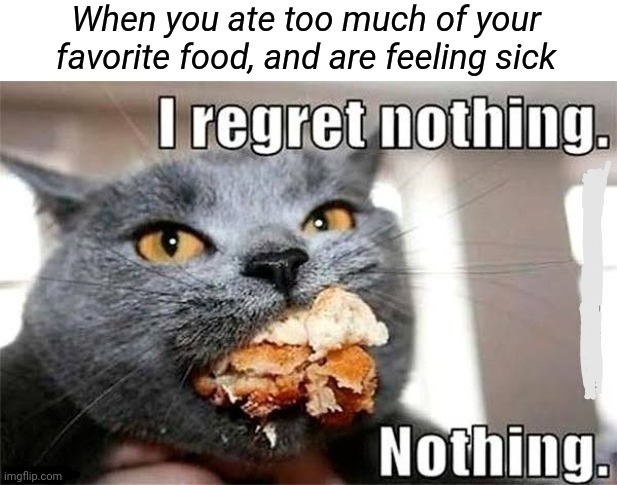 No Regrets Cat | image tagged in eating,sick | made w/ Imgflip meme maker