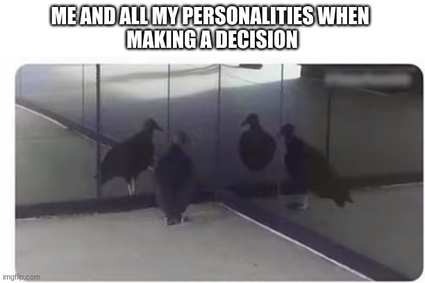 ME AND ALL MY PERSONALITIES WHEN 
MAKING A DECISION | image tagged in my life | made w/ Imgflip meme maker