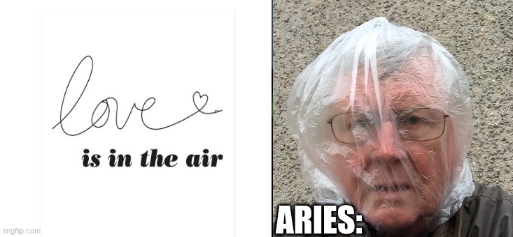 Aries Be Like | ARIES: | image tagged in funny,zodiac | made w/ Imgflip meme maker