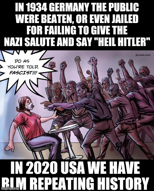 BLM fascists | IN 1934 GERMANY THE PUBLIC WERE BEATEN, OR EVEN JAILED FOR FAILING TO GIVE THE NAZI SALUTE AND SAY "HEIL HITLER"; IN 2020 USA WE HAVE BLM REPEATING HISTORY | image tagged in blm,fascism,riots,nazism | made w/ Imgflip meme maker