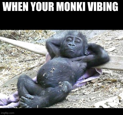 monki vibe | WHEN YOUR MONKI VIBING | image tagged in monki vib | made w/ Imgflip meme maker