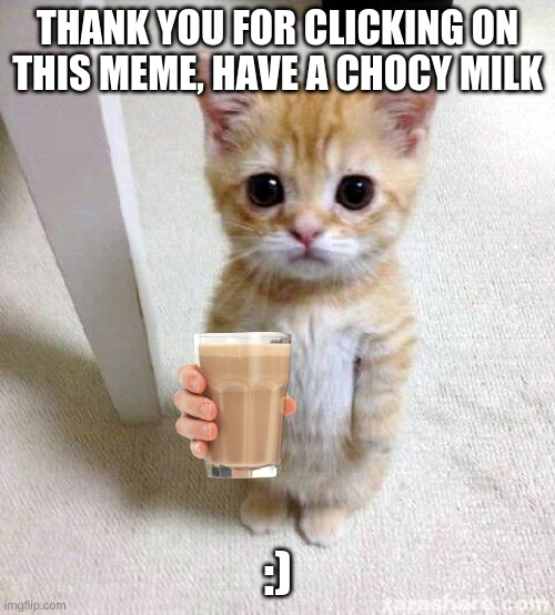 :) | THANK YOU FOR CLICKING ON THIS MEME, HAVE A CHOCY MILK; :) | image tagged in memes,cute cat | made w/ Imgflip meme maker