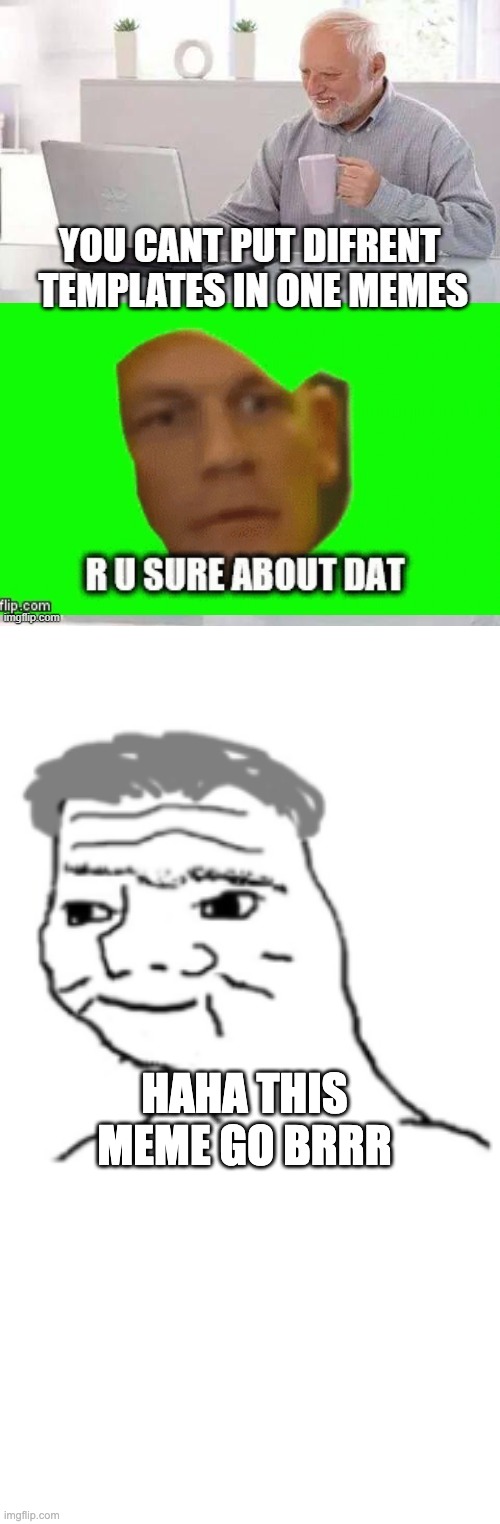 HAHA THIS MEME GO BRRR | image tagged in nooo haha go brrr | made w/ Imgflip meme maker