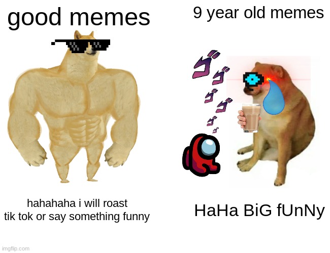 am i wrong? | good memes; 9 year old memes; hahahaha i will roast tik tok or say something funny; HaHa BiG fUnNy | image tagged in memes,buff doge vs cheems | made w/ Imgflip meme maker