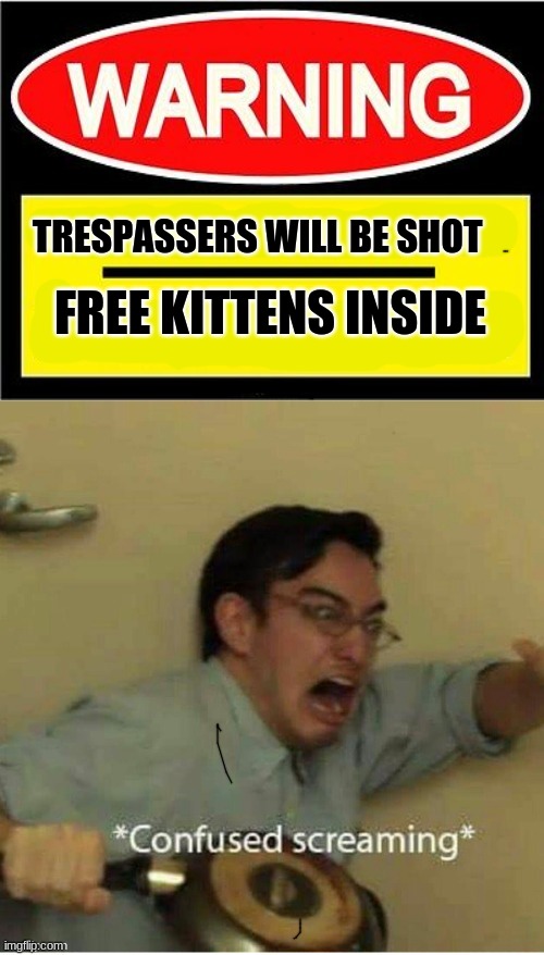 well at least there are kittens | TRESPASSERS WILL BE SHOT; FREE KITTENS INSIDE | image tagged in fun,choccy milk,kittens | made w/ Imgflip meme maker