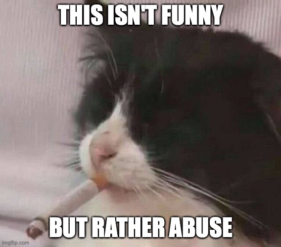 Cat With Cigarette Butt | THIS ISN'T FUNNY; BUT RATHER ABUSE | image tagged in memes,cigarettes,cats | made w/ Imgflip meme maker