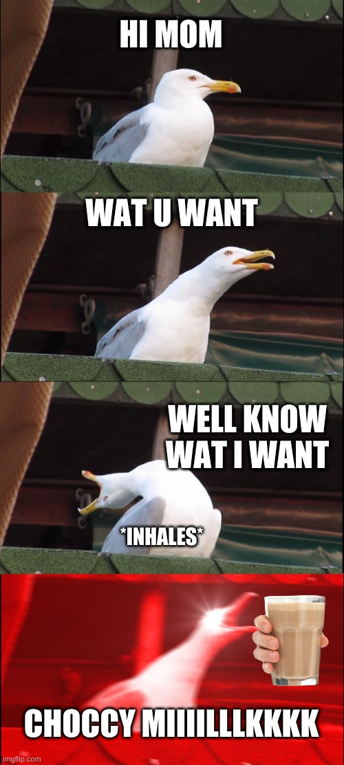 Inhaling Seagull | HI MOM; WAT U WANT; WELL KNOW WAT I WANT; *INHALES*; CHOCCY MIIIILLLKKKK | image tagged in memes,inhaling seagull | made w/ Imgflip meme maker