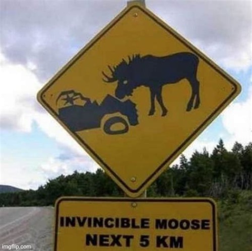 Invincible moose | made w/ Imgflip meme maker