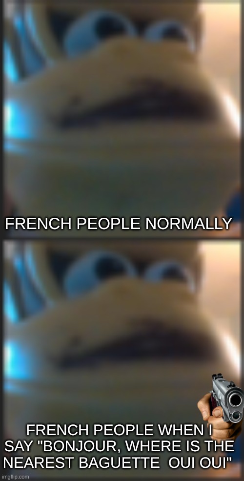 Not funny, didn't laugh | FRENCH PEOPLE NORMALLY; FRENCH PEOPLE WHEN I SAY "BONJOUR, WHERE IS THE NEAREST BAGUETTE  OUI OUI" | image tagged in shronkey kong joins the fight | made w/ Imgflip meme maker