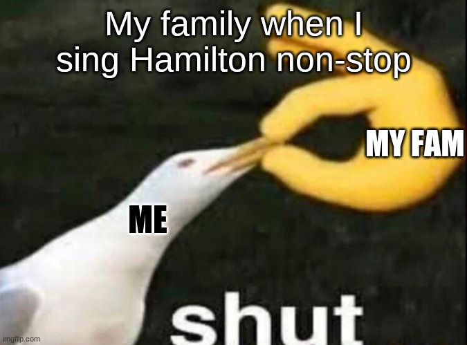 wHy dOeS tHiS hApPeN tO mE | My family when I sing Hamilton non-stop; MY FAM; ME | image tagged in shut | made w/ Imgflip meme maker