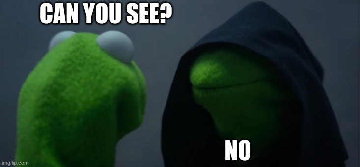 Evil Kermit | CAN YOU SEE? NO | image tagged in memes,evil kermit | made w/ Imgflip meme maker