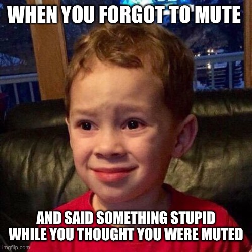 Gavin meme | WHEN YOU FORGOT TO MUTE; AND SAID SOMETHING STUPID WHILE YOU THOUGHT YOU WERE MUTED | image tagged in gavin meme | made w/ Imgflip meme maker