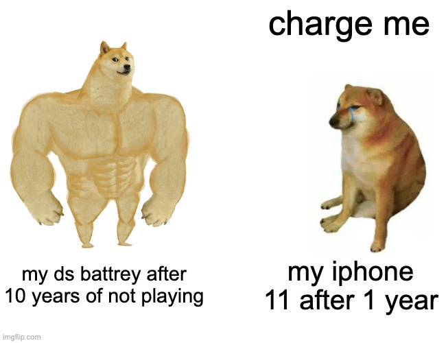 know tour meme | charge me; my ds battrey after 10 years of not playing; my iphone 11 after 1 year | image tagged in memes,buff doge vs cheems | made w/ Imgflip meme maker