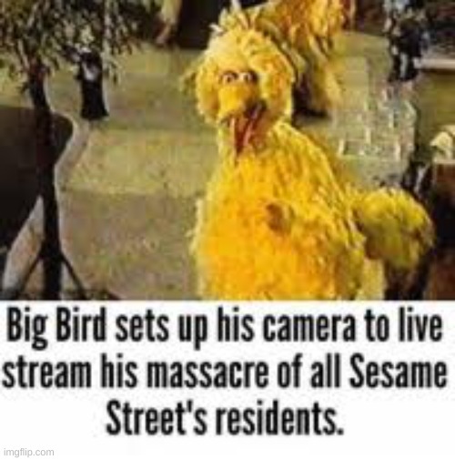 Y E S | image tagged in big bird | made w/ Imgflip meme maker