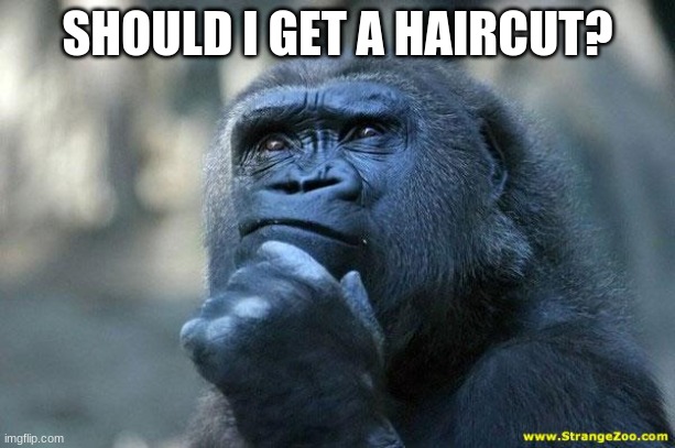 Deep Thoughts | SHOULD I GET A HAIRCUT? | image tagged in deep thoughts | made w/ Imgflip meme maker