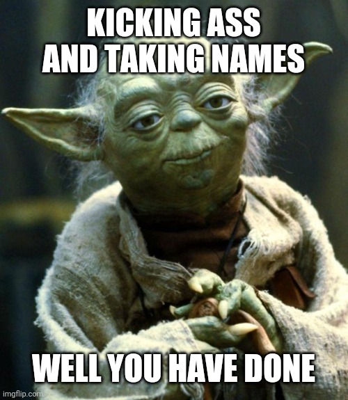 Yoda taking names | KICKING ASS AND TAKING NAMES; WELL YOU HAVE DONE | image tagged in memes,star wars yoda | made w/ Imgflip meme maker